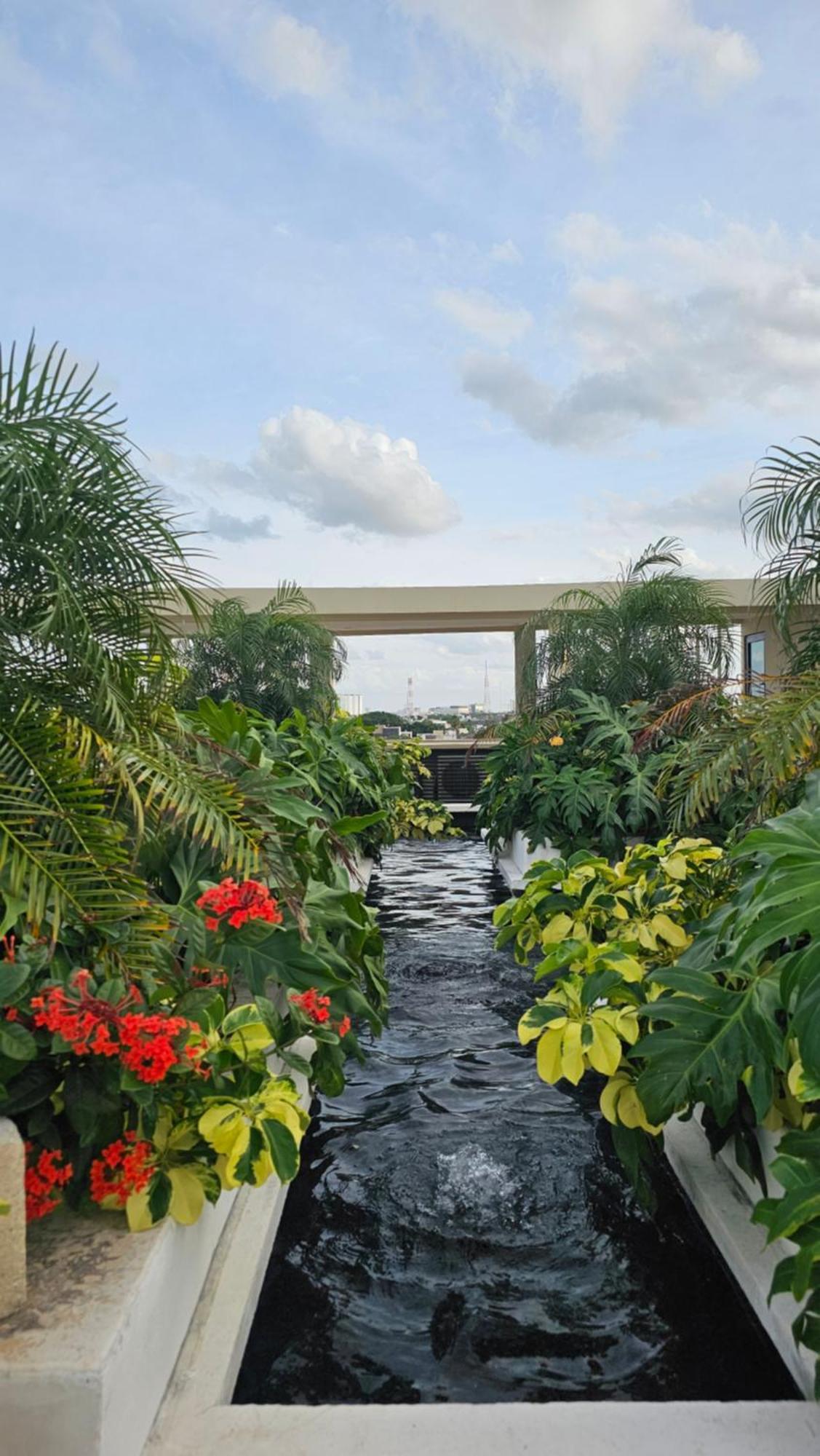 Xoza Hotel Urban Escape แคนคูน ภายนอก รูปภาพ